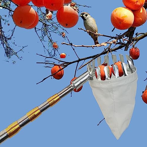 LekLai Obstpflücker, Obstpflücker Mit Teleskopstiel, Verstellbares Pflückerwerkzeug Mit Obstaufbewahrungstasche Für Kirschbirnen-Erntemaschine/2.1M/7 Ft