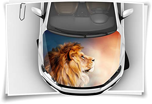 Medianlux Motorhaube Auto-Aufkleber Afrika Löwe Sonne König Himmel Savanne Steinschlag-Schutz-Folie Airbrush Tuning Car-Wrapping Luftkanalfolie Digitaldruck Folierung