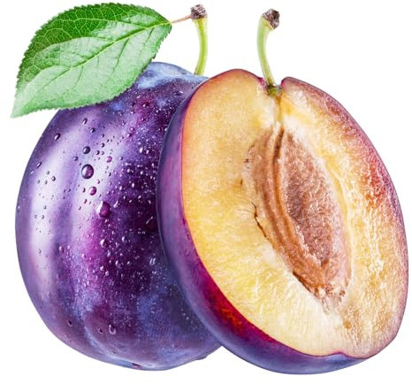 Plum Tree, 'Jubilee', 1 x Tall Plant in a 10 Nursery Litre Pot, 1.4m - 1.6m Height, Fruit Trees, Plums, Garden Ready and Ready to Plant, Premium Quality Fruit Trees