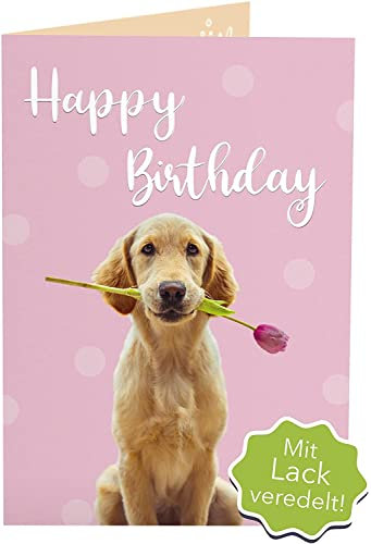 Joli Coon Geburtstagskarte - Happy Birthday Karte - A6 mit Premium Kuvert blau
