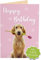 Joli Coon Geburtstagskarte - Happy Birthday Karte - A6 mit Premium Kuvert blau