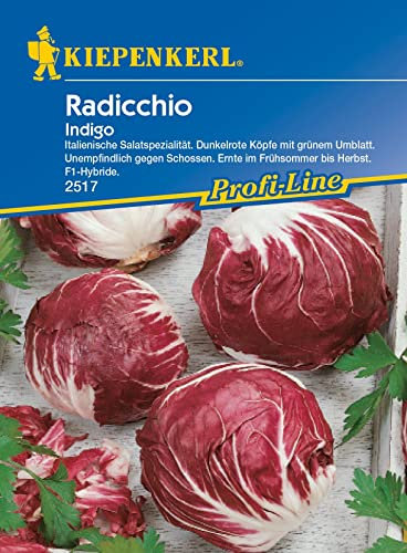 Kiepenkerl 2517, Radicchio Indigo F1, Portionssaatgut, Italienische Salatspezialität mit dunkelroten Köpfen und grünem Umblatt, Unempfindlich gegen Schossen