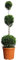 KENTIS - Cupressocyparis Leylandii mit Jutedekoration für Vase - Drei Ball Zypressen Pflanzen für Garten - H 140-160 cm Topf Ø 30 cm