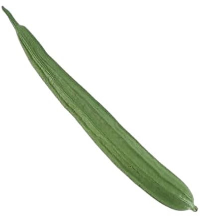 Nvzi Juego de verduras artificiales realistas de espuma decorativas realistas para el hogar, cocina, juego de decoración para fotos (Longluffa, 2 piezas)