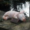 Paxton Gartenfigur Wake Me Up When It Is The Weekend, Kunstharz, 22 cm lang