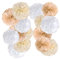 SUNBEAUTY Party Dekoration Pompons -15 Stück Beige Braun Weiß Seidenpapier Pompoms für Hochzeit, Tischdeko Geburtstag, Babyparty Deko, Abschlussball, Festival Weihnachten Karneval