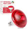 LUCKY HERP Infrared Heat Lamp Bulb, 250W Chicks Infrared Red Heat Lamps, Reptile Heat Light for Chicks, Dogs, Puppies, Cats, Pigs, Bearded Dragon and Animals