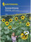 Helianthus annuus Sonnenblume King Kong gelb riesenwüchsig