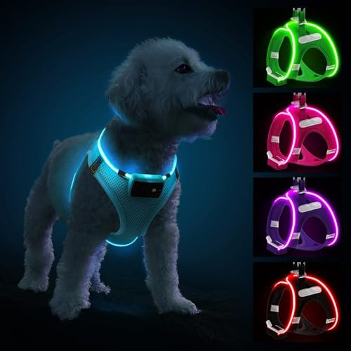 PcEoTllar Hundegeschirr Leuchtend, Leuchtgeschirr LED Aufladbar & Reflektierendes, Beleuchtetes Leuchtgeschirr für Welpe Klein Mittlere Hund, Atmungsaktiv Leucht Geschirr, Blau-M