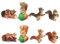 Gcroet Mini Figures Mignons Animaux Miniatures Toys gâteau Topper Figurines fées Ornements de Jardin 8pcs Mini Figures, écureuils Miniatures, écureuil de Jardin de fée, écureuil de gâteau,