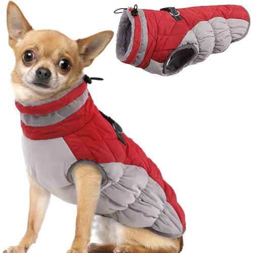 Hjumarayan Hundemantel für Kleine Mittelgroße Grosse Hunde, Hundemantel Winter Warme Hundejacke Wintermantel Hund Wasserdicht Hunde Mantel Gefüttert, Chihuahua Kleidung Winter (Rot S)
