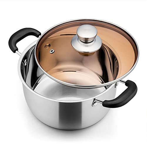 THEGA Olla Sopera - Olla De Sopa De Metal De Acero Inoxidable, Olla Sopera con Tapa De Cristal, Cacerola del Hogar, Apto para Todas Las Estufas, Duradero Y Apto para Lavavajillas. (Size : 22cm)