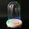 Glass Cloche Bell Jar Dome with Wood Base + Lights (With colorful light, 12x20cm)