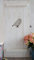 Landhaus Fensterladen Vogel in weiß,Shabby antique chic Handgefertigt