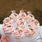 40Pcs Edible Sika Deer Happy Birthday Cupcake Toppers Edible Sika Deer Cupcake Decoration Picks for Animal Theme Baby Shower Kids Boys Girls Birthday Party Supplies