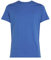 Tommy Jeans Herren TJM Xslim Jersey Tee Dm0dm04411 S/S T-Shirt, Blue (Tempo Blue), XL EU