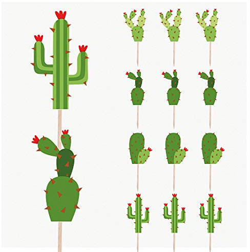 AK Giftshop Cactus Plant Mix Birthday Party Food Cupcakes Picks Decorations Toppers (Pack of 14)