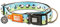 Max & Molly Gotcha! Hundehalsband Halsband Hund mit Smart ID, gepolstertes Neopren Halsband mit Design für sehr kleine Hunde, wasserdicht, bequem, verstellbar, Black Sheep, XS