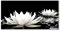 Tulup White Green Water Lilies 140x70 cm Tempered Glass Kitchen Splashback - Wall Mount - Electric - Durable