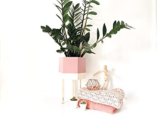 Cache-pot GEO sur pieds - Vieux rose et érable - Leewalia - décoration d'intérieur - plantes - pot de fleurs - Leewalia - green lovers - nature