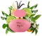 Aristea Parfum Damen Kiss me in Paris, Eau de Parfüm für Frauen, blumiger Damenduft, 25ml