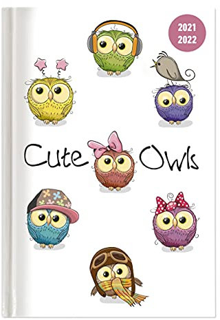 Collegetimer Cute Owls 2021/2022 - Schüler-Kalender A6 (10x15 cm) - Eule - Weekly - 224 Seiten - Terminplaner - Alpha Edition (Collegetimer A6 Weekly)