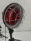 Rkdely Infrarotlampe Wärmelampe 150W, Rotlichtlampe Wärmelampe Infrarot Wärmelampen Infrarotlichtlampe Mit verstellbarem Bodenständer Wärmestrahler Temperatur einstellbar mit Timer