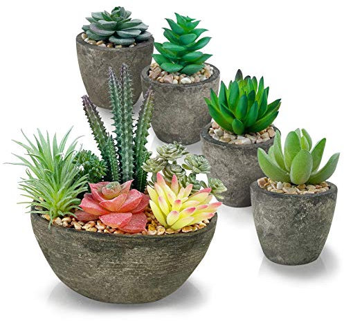 PETAFLOP Artificial Succulent Plants Set of 5, Realistic Faux Succulents in Cement Like Pots, Small Fake Succulents Plants for Home Office Desk Decoration