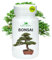 Flora Boost Bonsai Dünger I Pflanzendünger Pulver für Bonsai-Baum I natürlicher Pflanzenextrakt für Wachstum, Regeneration & Stärkung von Bonsai-Bäumen I Pulverdünger für 100L Gießwasser