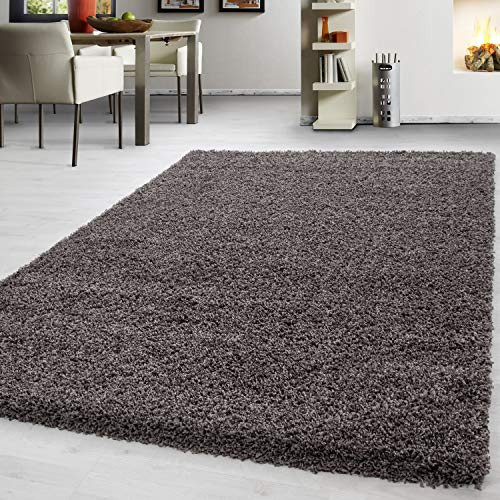 Teppium Moderner Hochflor Teppich Wohnzimmer 120 x 170 cm Taupe - Shaggy Flauschiger Teppich, Extra Weich, Pflegeleicht und Einfarbig - für Schlafzimmer, Küche und Esszimmer