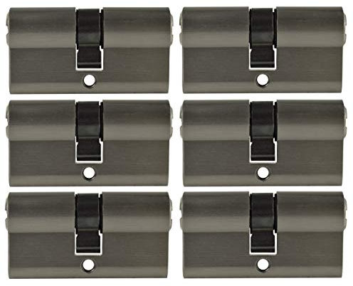 Löwen Sicherheit 6x Profilzylinder 30x30 Zylinderschloss PZ 60 mm gleichschließend inkl. 20 Schlüssel Metallic Silber Grau