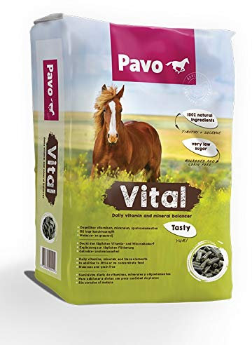 Pavo