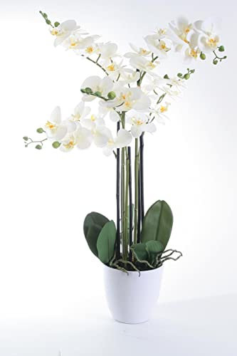 Wackadoo® Kunstblume Orchidee 80 cm mit real Touch Effekt der Blätter und Blüten in weißem Umtopf, Kunstblumen wie echt, Orchideen künstlich, künstliche Orchideen Frühlingsdeko