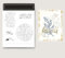 Stempel und Stanzformen für Kartenherstellung, Weihnachtsstempel und Stanzformen-Set für verschiedene Festivals, Alben, Scrapbooking, Geburtstage, Grußkarten (Stanz- und Stempel-Set) (MP035)
