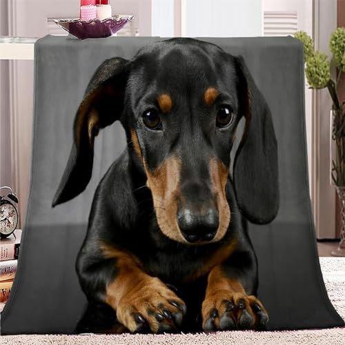 Kuscheldecke 220x240 Tier Dackel 3D Druck Weichen Kuscheldecke Flauschig Fleecedecke als Sofadecke Tagesdecke Couchdecke für Mädchen Jungen