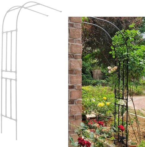 Treillis d'arche de jardin blanc pour plantes grimpantes - Antirouille - Demi-face - Décoration de jardin extérieure - 180 x 240 x 40 cm