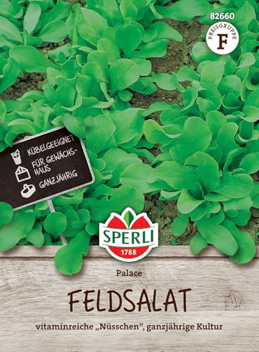 Sperli Feldsalatsamen Palace 82660, Gemüsesaat | Das Saatgut einer ganzjährigen Kultur, für den Anbau im Gewächshaus oder in Kübeln, ertragreich