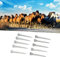 Ejoyous 250pcs E4 Nails en Fer à Cheval Nails de Chaussures à Chevaux Equines Acier à Faible Teneur en Carbone pour les Sports équestres avec Fixation Sécurisée Installation Facile