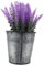Toddmomy Planta Artificial De Lavanda Maceta Decorativa Bonsái Falso Para Oficina y Hogar Para Decoración Interior y Exterior No Marchita Compacto y Atractivo