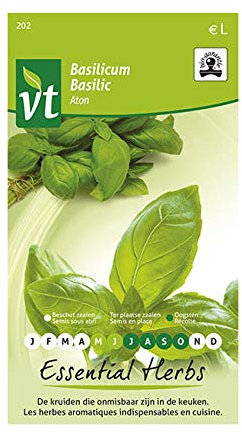 Basil Aton Organic Seeds per gram - 0,75 g - Seeds per gram: 700