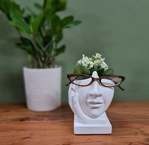 JewelryNanny Artsy Sukkulenten oder Luftpflanzen Vase Gesicht Brillenhalter – geformte Nase für Brillen Doppelfunktion, Life is Good Vase