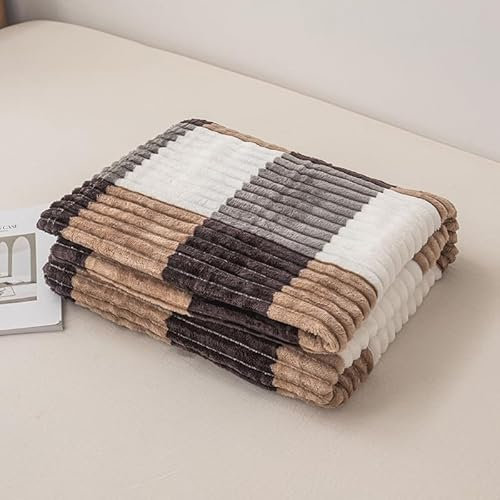 FEBE Kuscheldecke 160x200 cm Flauschig Tagesdecke Fleecedecke Flanell Decke Sofadecke Für Couch Wohndecke Wendedecke als Sofaüberwurf oder Wohnzimmerdecke