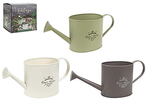 Ossian Vintage Watercan Planters – Traditional Retro French Style Watering Can Planting Pots - For Herbs Flower Plant Home Kitchen Window Garden Patio Decking