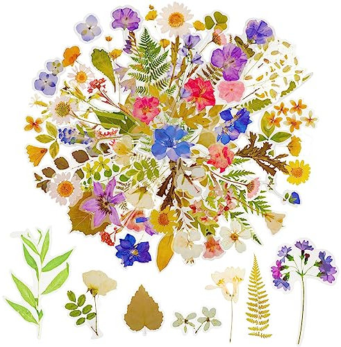 160 Stück Blumen Aufkleber Scrapbooking Pflanzen Sticker Dekoration, 80 Stile Naturthemen Stickers Blätter Deko Stickerbögen für Sammelalbum Planer Notizbuch Tagebuch Laptops