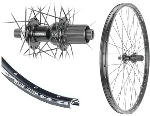 Hinterrad 28/29 Zoll Disc 25-622 Shimano Steckachse 12x142 Centerlock | Bärwinkels, Hohlkammer, TC500 Nabe schwarz, Industrielager