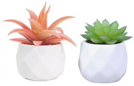 Artificial Plants and Succulents in 2 White Ceramic Pots,Small Fake Plants for Office and Desk Decor,Bathroom, Bedroom,Shelves for Women