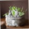 Decorative Flower Pots, 18cm/7inch Resin Animal Planter with Rabbits Decor, Bunny Planter Pot, Rabbit Planters for Indoor Outdoor Decorations