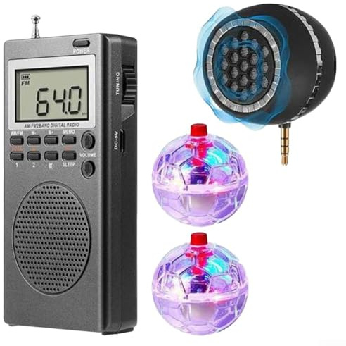 Lecreatekit Mini radio tascabile, transistor portatile AM FM, radio tascabile, stazioni di ricezione per interni ed esterni