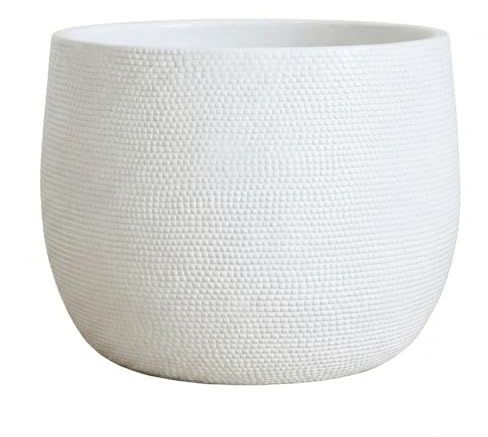 Olly & Rose Barcelona Barcelona Ceramic Plant Pot Large 25cm - White Flower Pots - Indoor & Outdoor Planters - Matt White