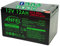 12V 12AH Batteria Ricaricabile al Piombo VRLA Faston F2 6.35mm per allarmi antifurti, sistemi di Sicurezza, Batterie di Ricambio per ups USV, Solar, Solarpanel